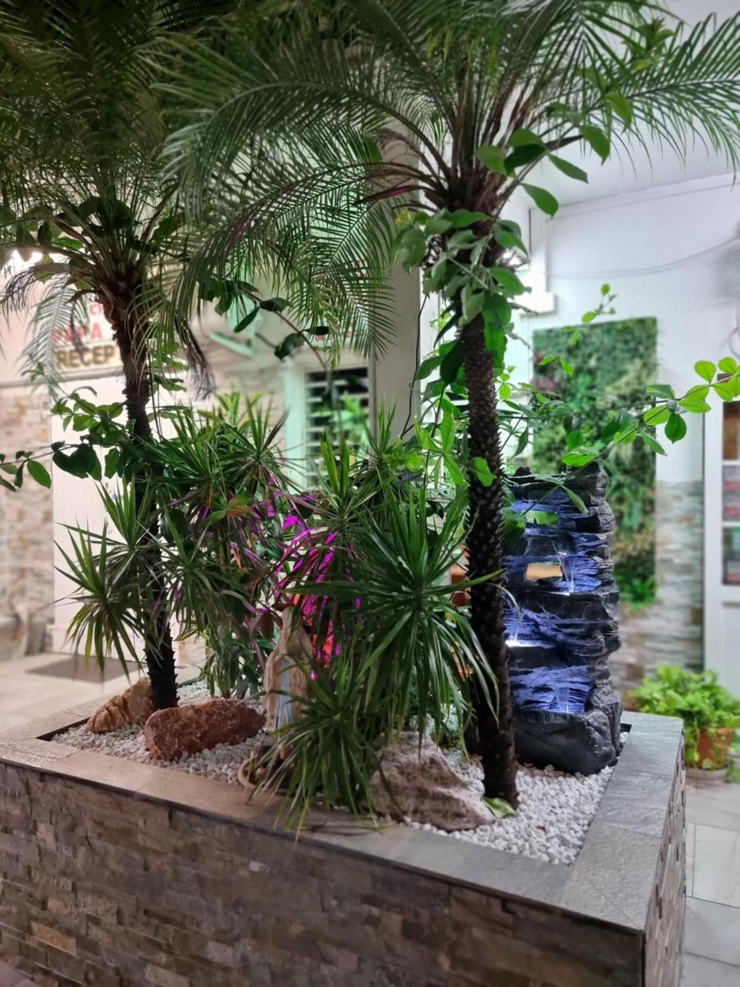 Hotel Chez Papa Daya Saint Pierre Ngoại thất bức ảnh