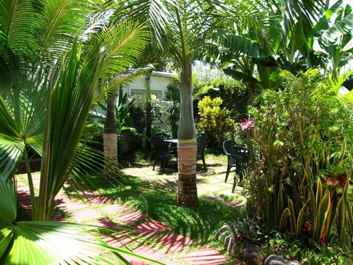 Hotel Chez Papa Daya Saint Pierre Ngoại thất bức ảnh